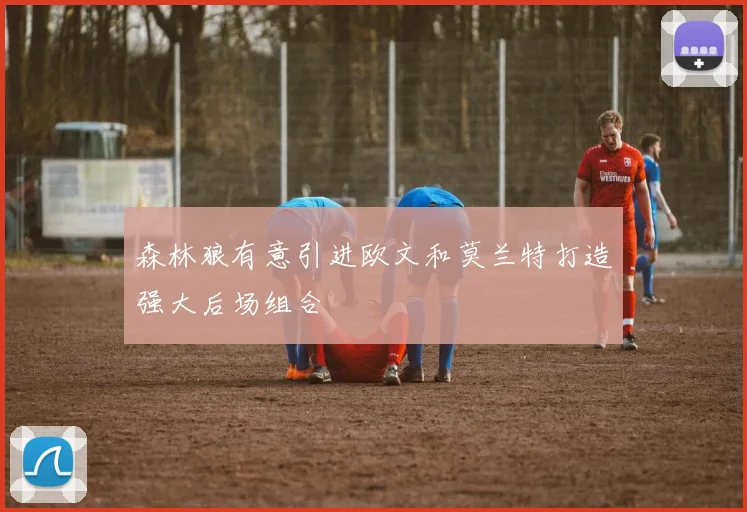 森林狼有意引进欧文和莫兰特打造强大后场组合
