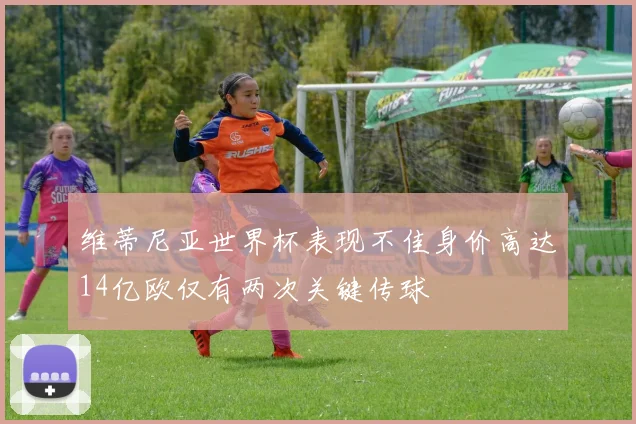 维蒂尼亚世界杯表现不佳身价高达14亿欧仅有两次关键传球